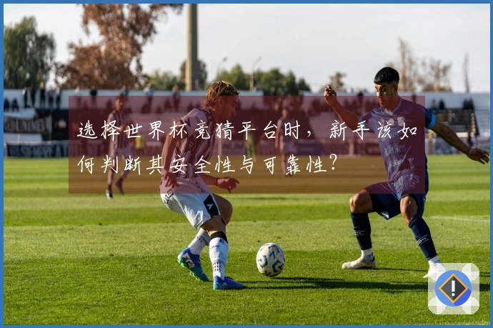 选择世界杯竞猜平台时，新手该如何判断其安全性与可靠性？