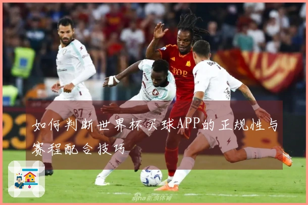 如何判断世界杯买球APP的正规性与赛程配合技巧