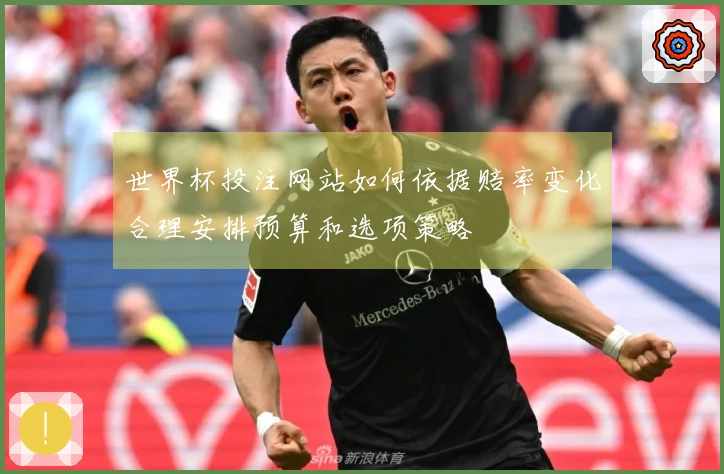 世界杯投注网站如何依据赔率变化合理安排预算和选项策略