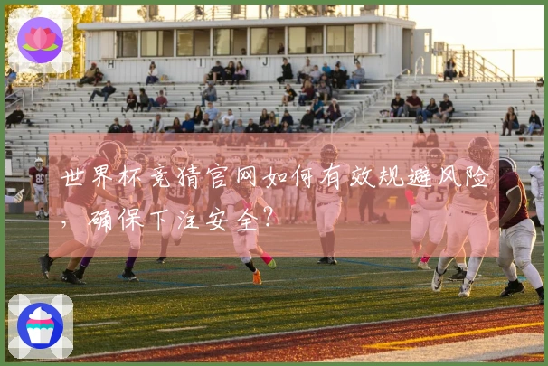 世界杯竞猜官网如何有效规避风险，确保下注安全？