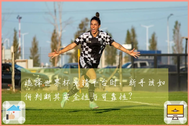 选择世界杯竞猜平台时，新手该如何判断其安全性与可靠性？