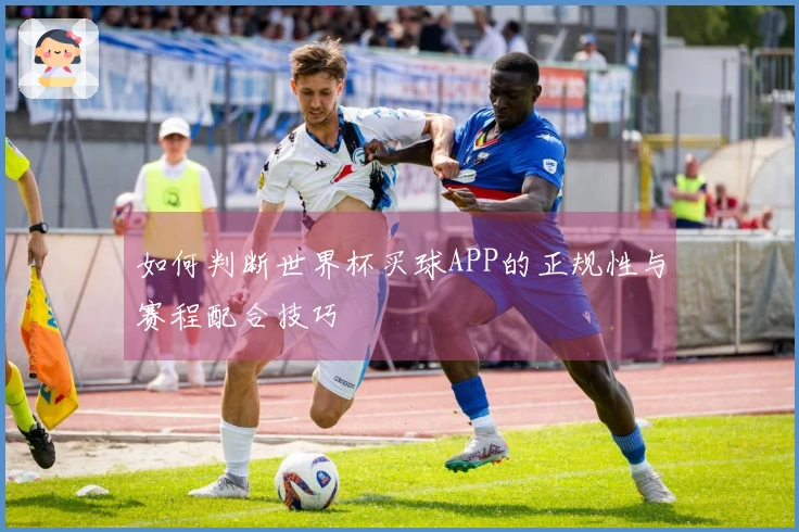 如何判断世界杯买球APP的正规性与赛程配合技巧