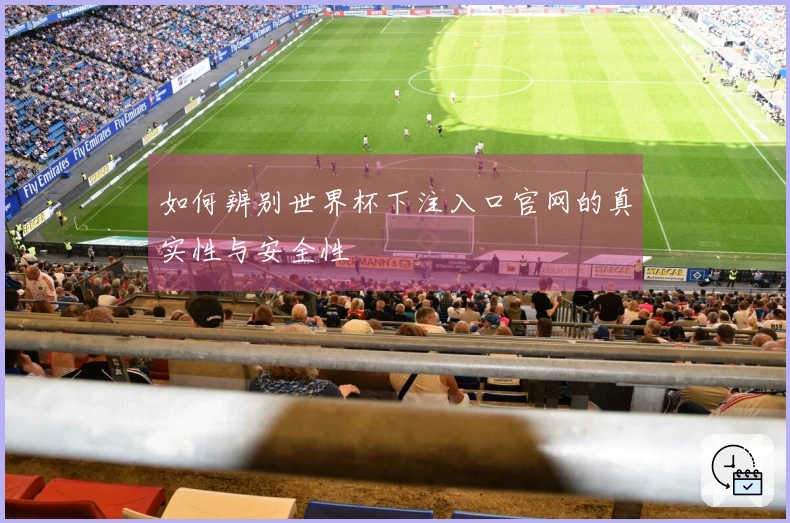 如何辨别世界杯下注入口官网的真实性与安全性