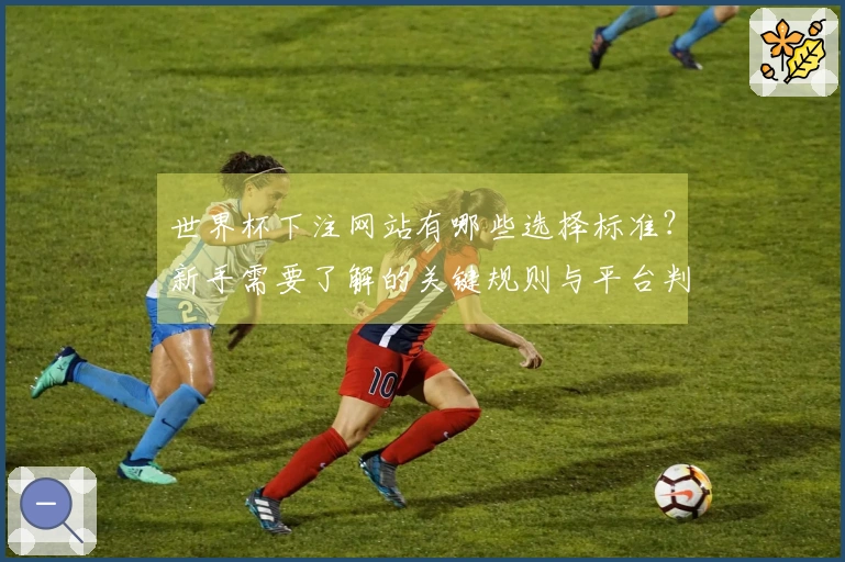 世界杯下注网站有哪些选择标准？新手需要了解的关键规则与平台判断技巧