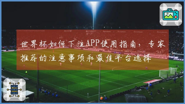 世界杯如何下注APP使用指南，专家推荐的注意事项和最佳平台选择