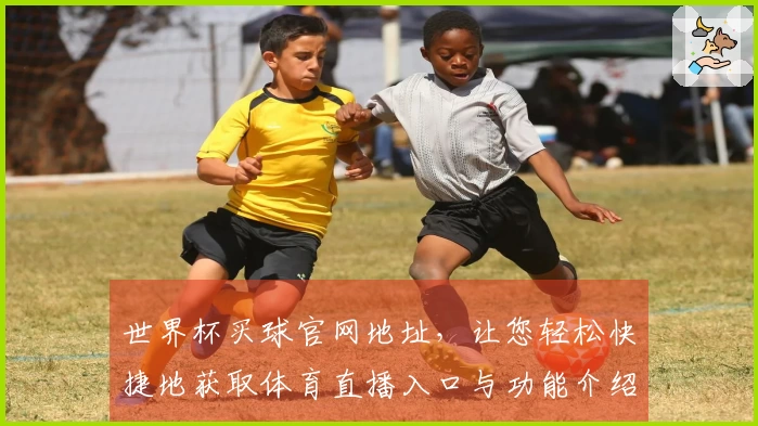 世界杯买球官网地址,让您轻松快捷地获取体育直播入口与功能介绍