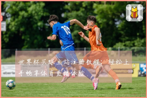世界杯买球主站注册教程:轻松上手畅享体育直播体验