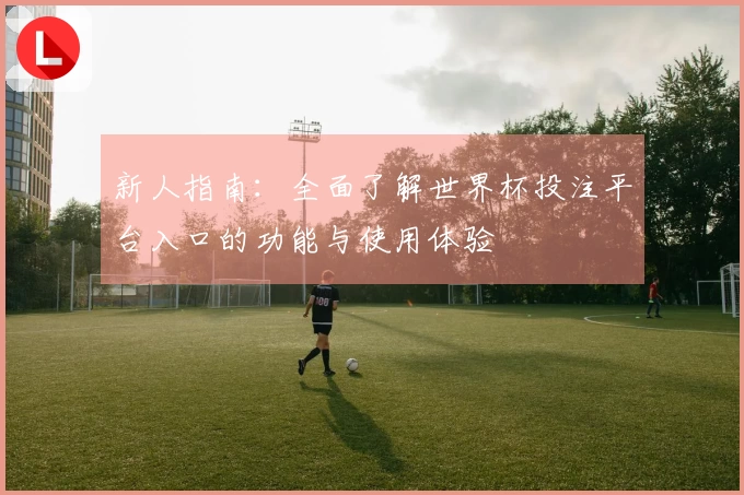 新人指南：全面了解世界杯投注平台入口的功能与使用体验