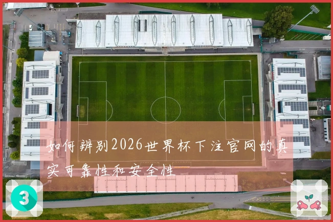 如何辨别2026世界杯下注官网的真实可靠性和安全性