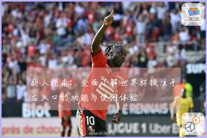 新人指南：全面了解世界杯投注平台入口的功能与使用体验