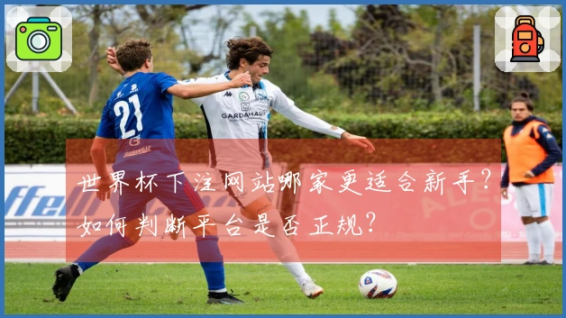 世界杯下注网站哪家更适合新手？如何判断平台是否正规？