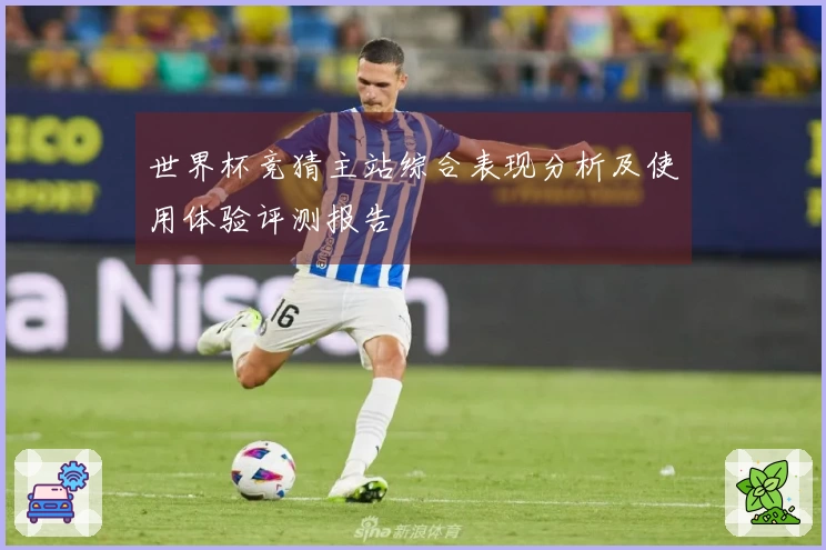 世界杯竞猜主站综合表现分析及使用体验评测报告