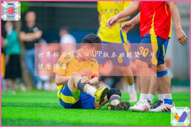 世界杯买球入口APP版本功能简介与使用指南