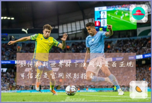 如何判断世界杯下注网站是否正规可信还是官网识别指南