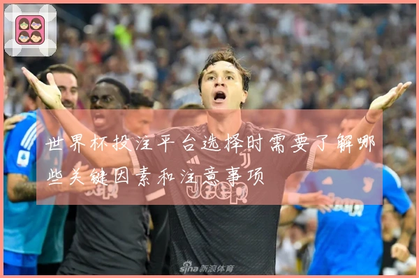 世界杯投注平台选择时需要了解哪些关键因素和注意事项