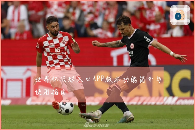 世界杯买球入口APP版本功能简介与使用指南