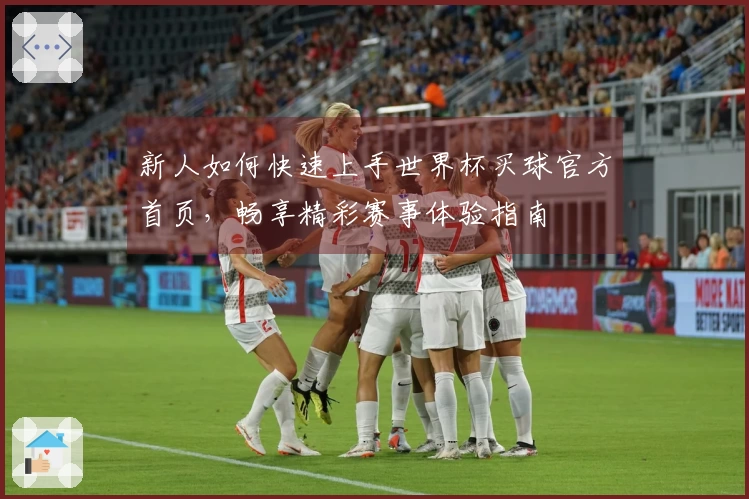 新人如何快速上手世界杯买球官方首页，畅享精彩赛事体验指南