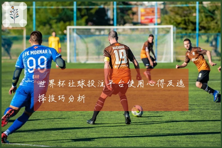 世界杯让球投注平台使用心得及选择技巧分析