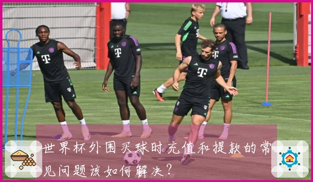 世界杯外围买球时充值和提款的常见问题该如何解决？