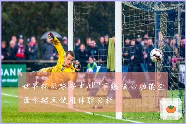 世界杯买球安卓APP下载核心功能全面介绍及使用体验分析