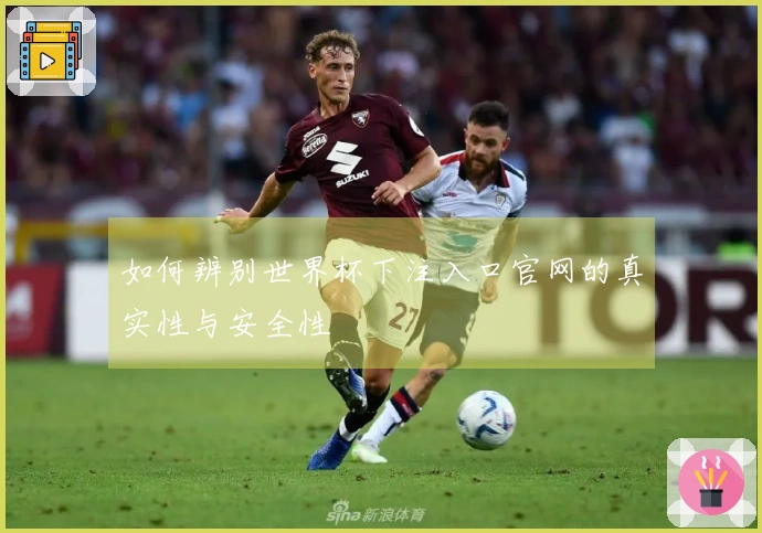 如何辨别世界杯下注入口官网的真实性与安全性
