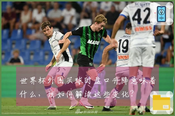 世界杯外围买球时盘口升降意味着什么，该如何解读这些变化？